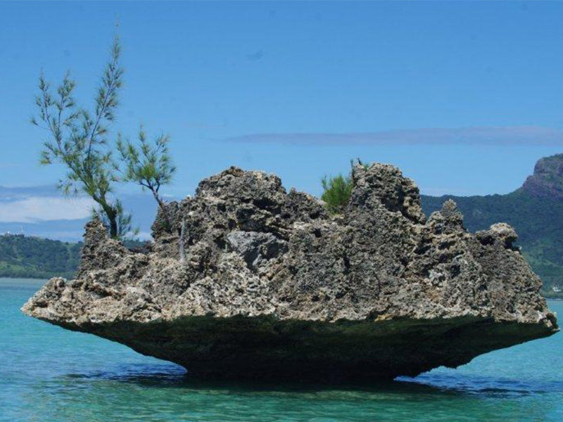 Découvrez l'Ile aux Bénitiers située au sud-ouest de l'île Maurice